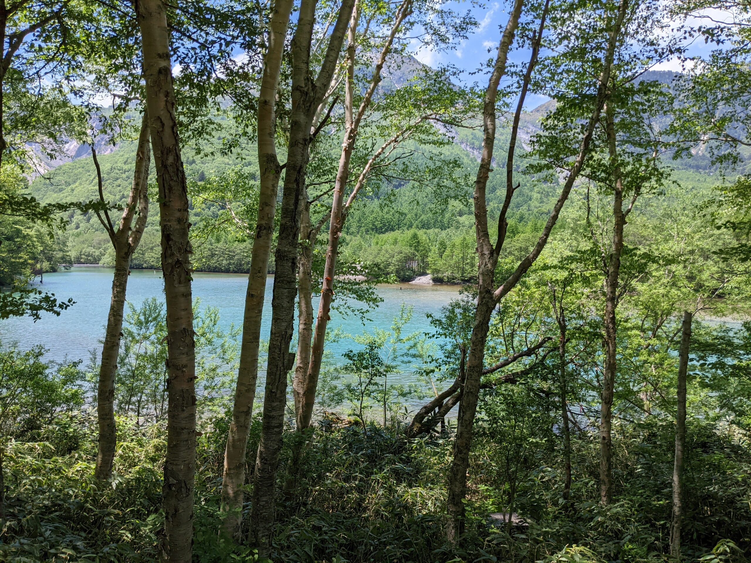 トップイメージ2